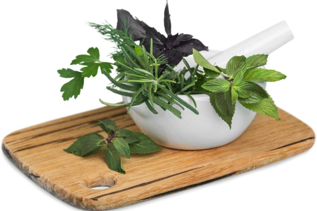 How Can Noble Herbs Be Used In Cooking, Herbalife Products & Prices