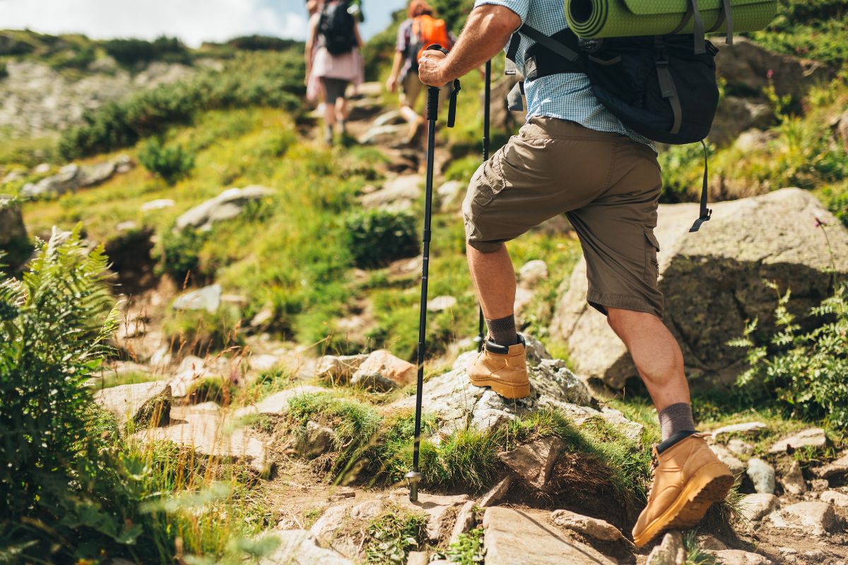 What is Hiking How This Simple Activity Can Transform Your Mind and Body What is Hiking How This Simple Activity Can Transform Your Mind and Body