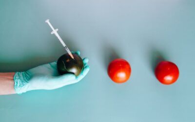What Is Bioengineered Food Ingredients? Unpacking the Mystery Behind the Label