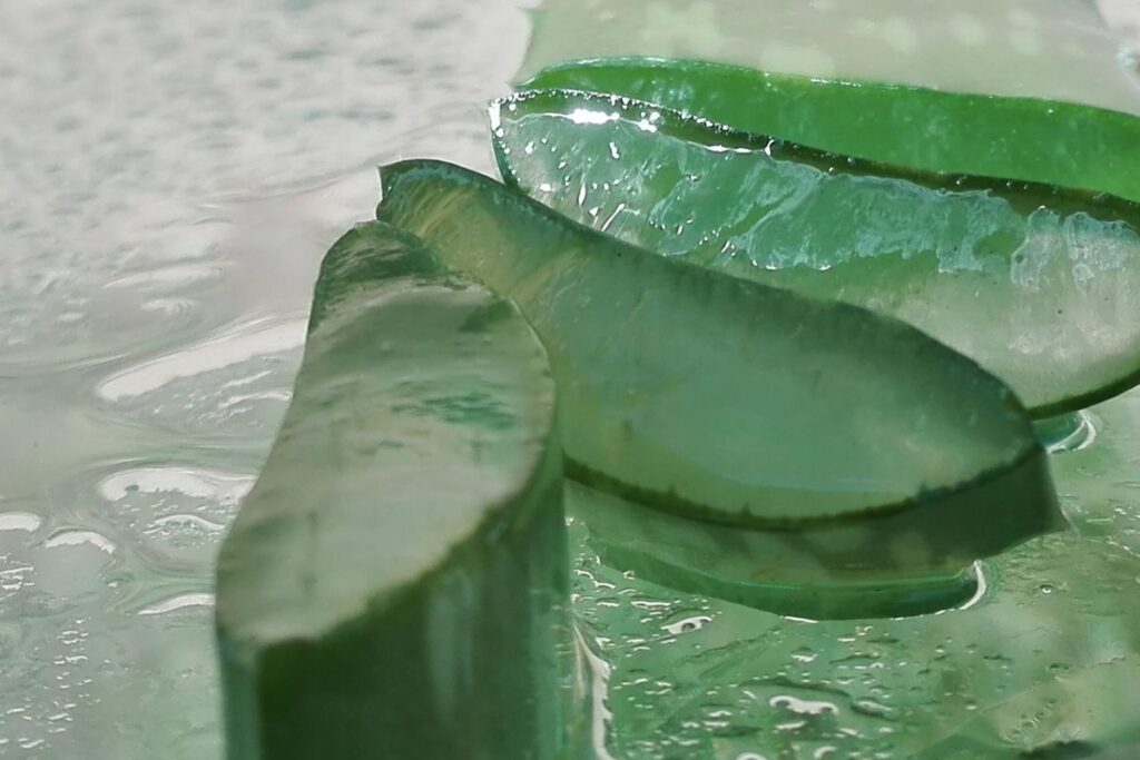 Is Aloe Vera Juice Safe to Drink Every Morning Are There Any Side Effects