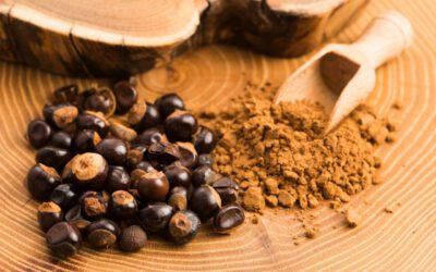 The Secret Ingredient in Guarana Powder That Fuels Focus & Burn Fat